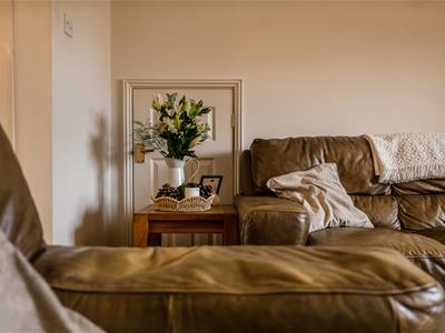 Picture 7